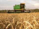 Производство украинской сельскохозяйственной продукции увеличилось на 10 процентов