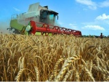 Фермеры Тернопольской области в лизинг от ПриватБанка получили сельхозтехнику на 1 млн гривен