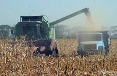 Аграрии Украины испытывают нехватку финансовых средств для посевной