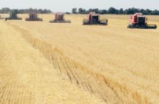 «Нибулон» рассчитывает в этом году повысить сбор зерновых минимальное количество на 30%