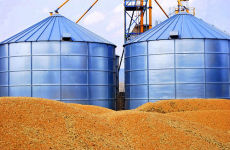 Уже через две недели могут быть сняты все огранчения на экспорт украинской пшеницы