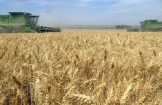 Причины упадка сельского хозяйства Украины