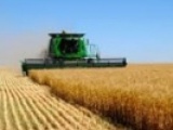 Сельское хозяйство — надежда экономики Украины