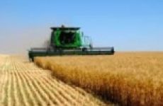 Сельское хозяйство — надежда экономики Украины