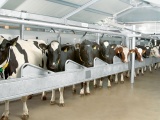 Где приобрести оборудование для животноводческой фермы?