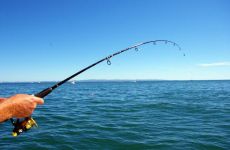 Важность подготовки к рыбалке