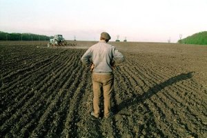 Фермерский застой и его причины