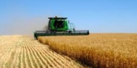 Сельское хозяйство - надежда экономики Украины.