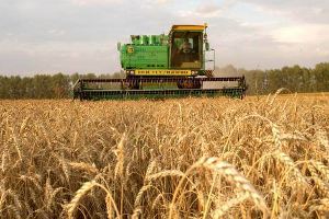 Производство украинской сельскохозяйственной продукции увеличилось на 10 процентов.
