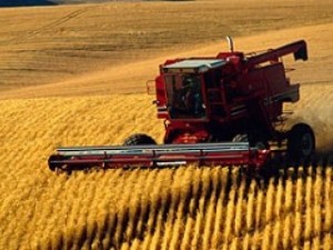 Аграрная политика в Украине