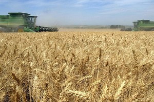 Причины упадка сельского хозяйства Украины.