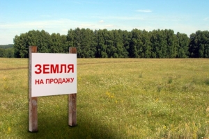 Украинские крестьяне и земельный мораторий