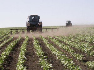 Правительство Российской Федерации просит отмены налога на доход сельхозпроизводителей, которых направили на техмодернизацию